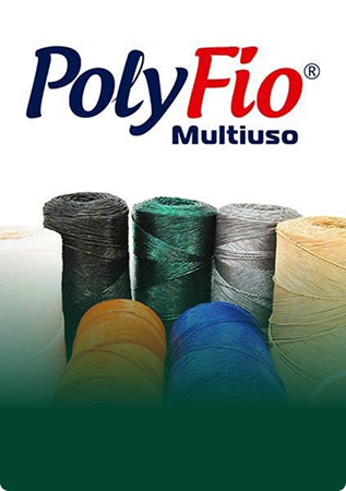 Polyfio