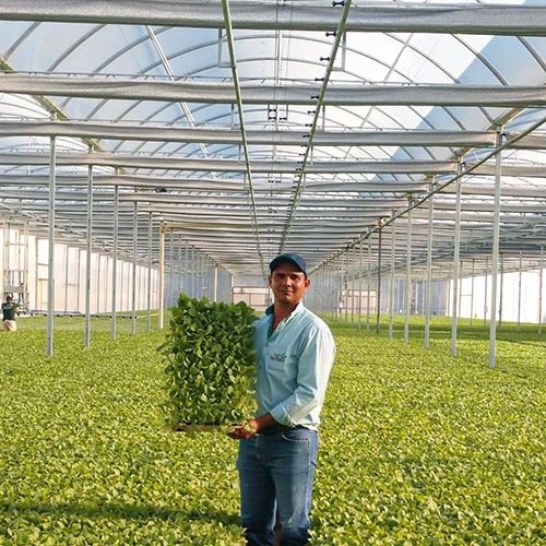 imgi_10_leandro-da-silva-pinheiro-17062021102014