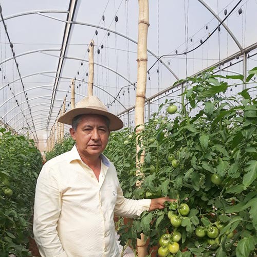 imgi_11_jeova-leite-cardoso-17062021104704