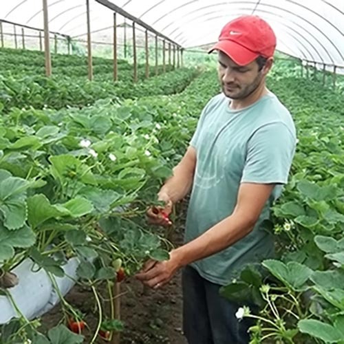 imgi_17_fernando-lima-hottz-17062021153453