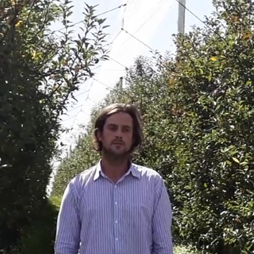 imgi_19_fabricio-dian-16062021181511