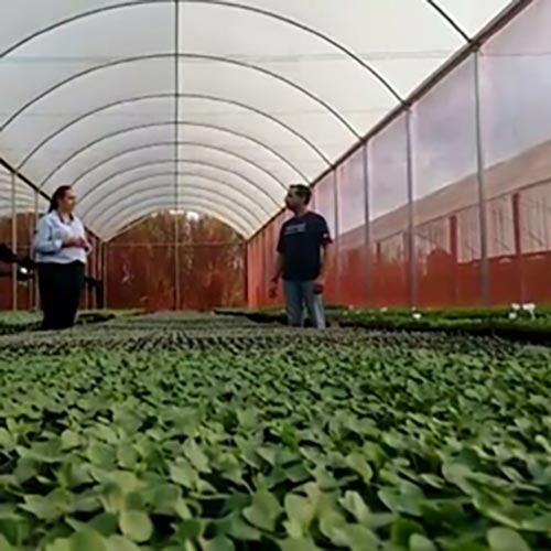 imgi_27_marcelo-ranzini-16062021160702