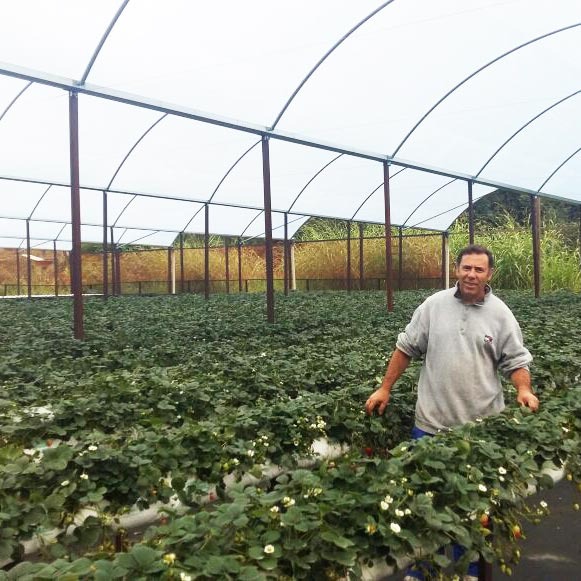 imgi_30_jose-luiz-brantes-16062021163910