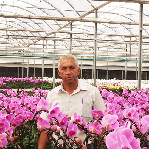 imgi_33_benedito-maceno-16062021174048