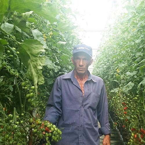 imgi_34_pedro-francisco-da-silva-16062021174810