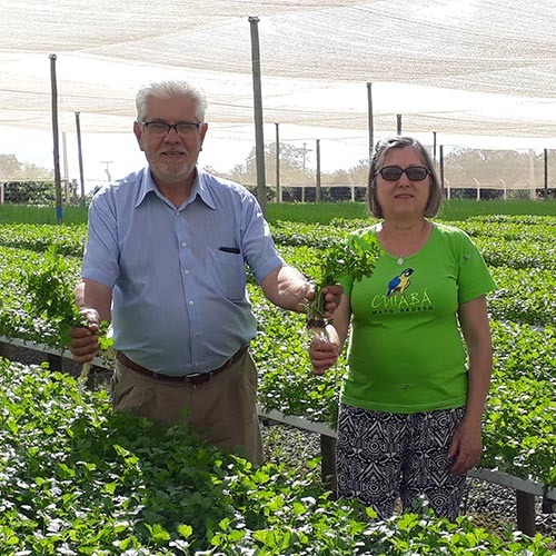 imgi_8_romualdo-e-ema-gatto-17062021101315