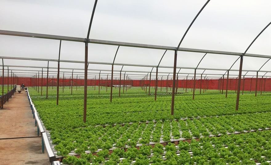 hortitec 2016 (357)